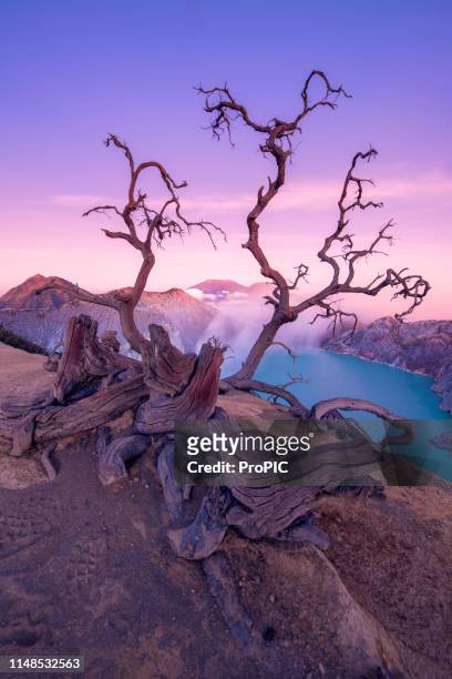 ijen volcano during sunrise early in the morning, landscape view of kawah ijen at sunrise. the most famous tourist attraction in indonesia, kawah ijen is a volcanic tourism attraction in indonesia - east branch stock pictures, royalty-free photos & images