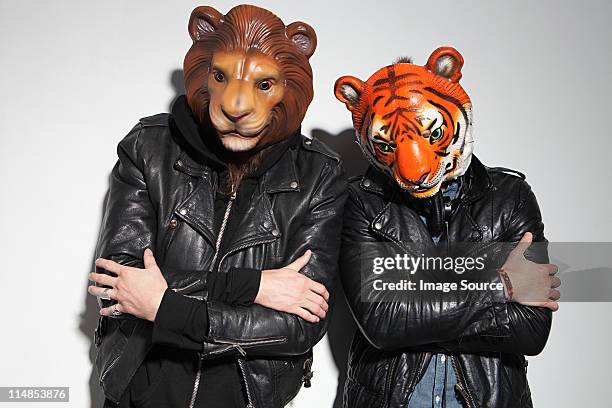 people wearing lion and tiger masks at party - undomesticated cat ストックフォトと画像