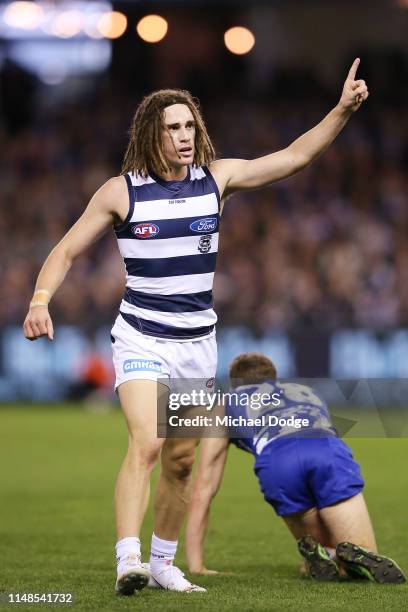 Gryan Miers of the Cats celebrates a goal during the round eight AFL match between the North Melbourne Kangaroos and the Geelong Cats at Marvel...