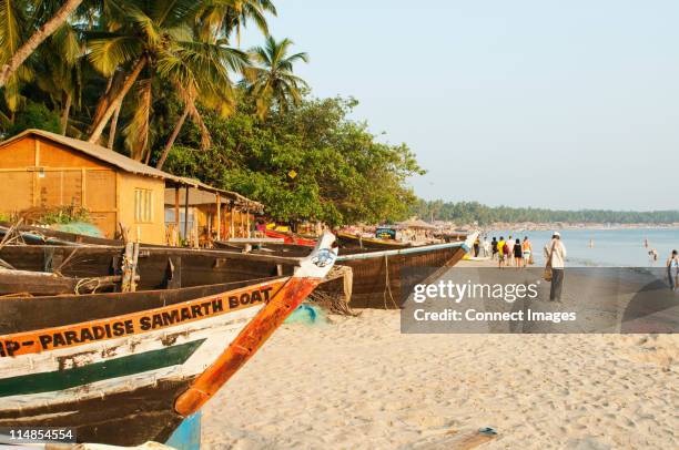 palolem beach, goa - goa beach stock pictures, royalty-free photos & images
