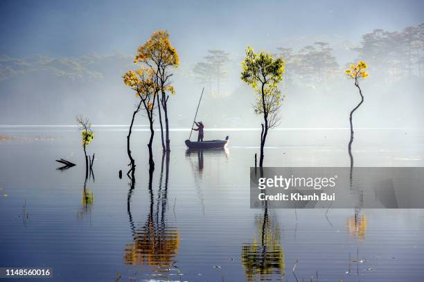 sunbeam and trees reflected on the lake at springtime - vietnam foto e immagini stock