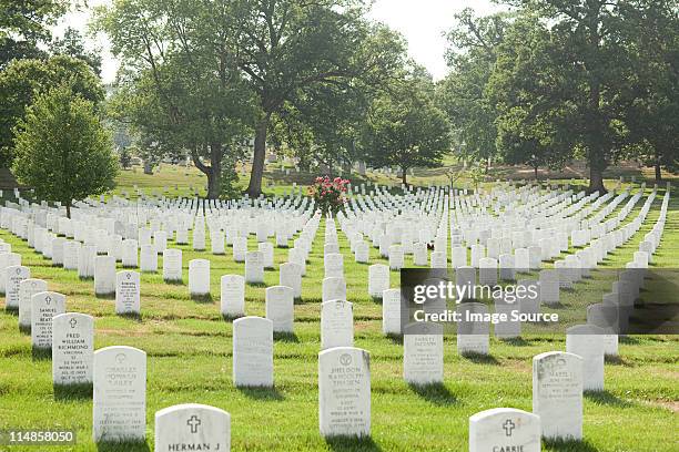 arlington national cemetery, virginia, usa - arlington national cemetary stockfoto's en -beelden