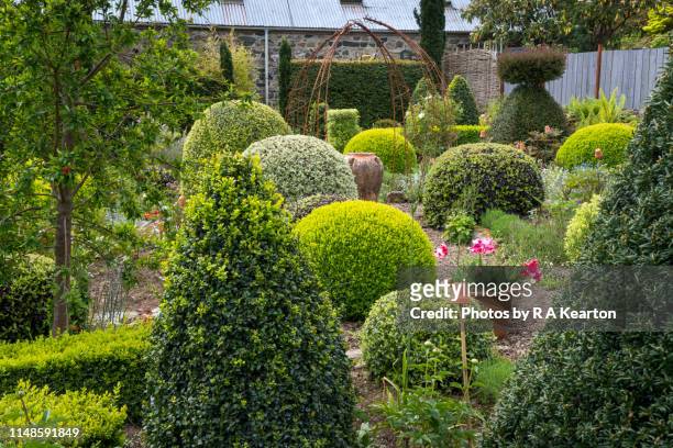 dyffryn fernant gardens, dinas, pembrokeshire, wales - topiary 個照片及圖片檔