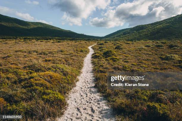 wilsons promontory national park - 一本道 ストックフォトと画像