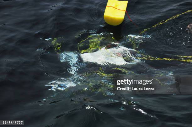 The Crab Robot in search of plastic is displayed during its very first dive in the sea off the Italian Coast at the Meloria on June 8, 2019 in...