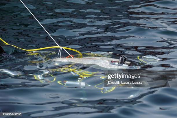 The Crab Robot in search of plastic is displayed during its very first dive in the sea off the Italian Coast at the Meloria on June 8, 2019 in...