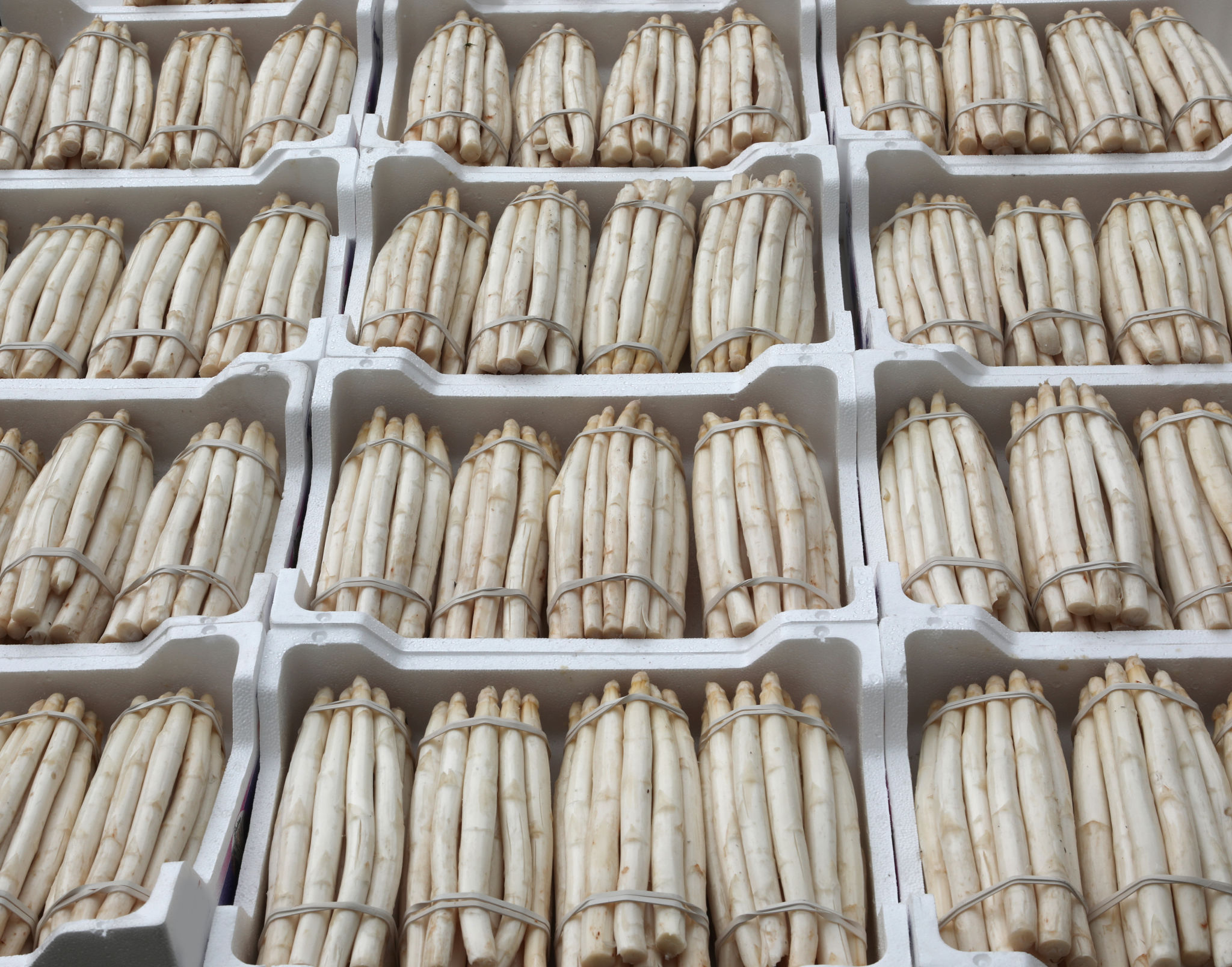 peruvian asparagus