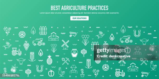 best agricultural practices outline style web banner design - wheat field sunset stock illustrations