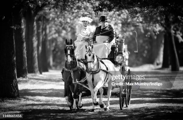 Competitors take part in 'The Champagne Laurent-Perrier Meet of the British Driving Society' on day 5 of the Royal Windsor Horse Show in Home Park on...