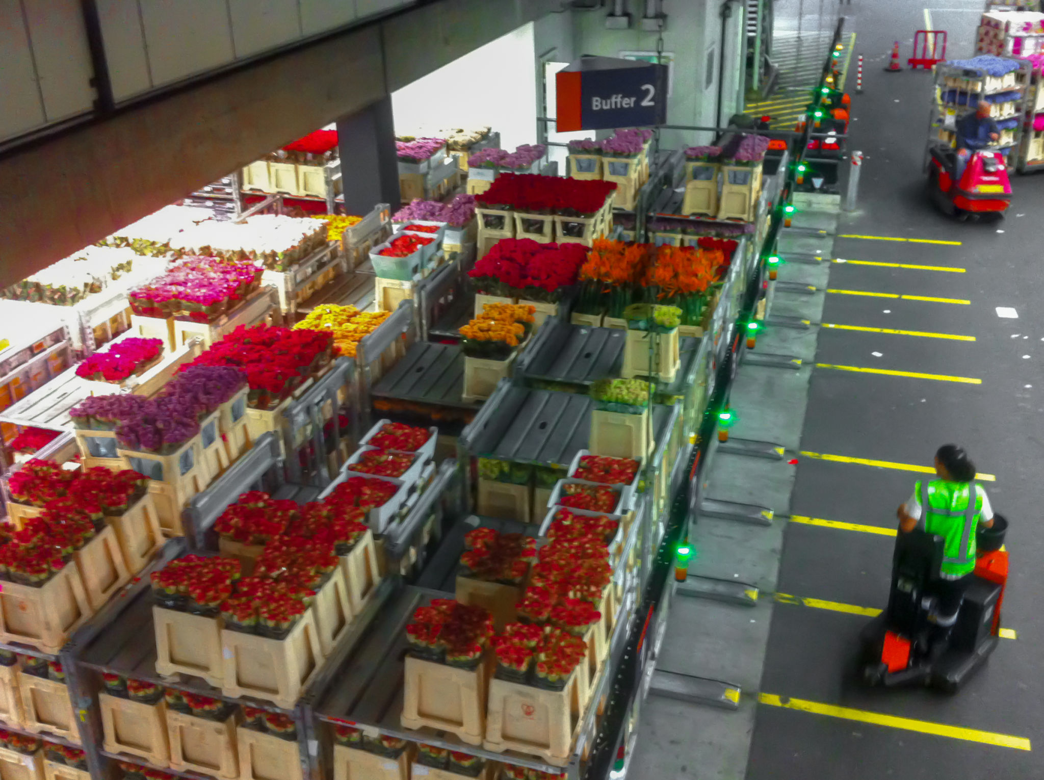 aalsmeer flowers