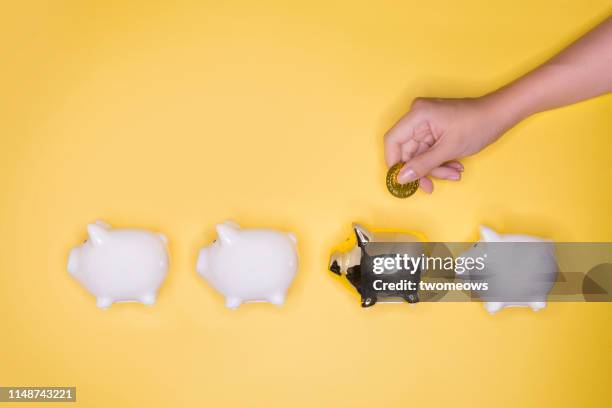 personal financial decision concept image. - first choice stock pictures, royalty-free photos & images