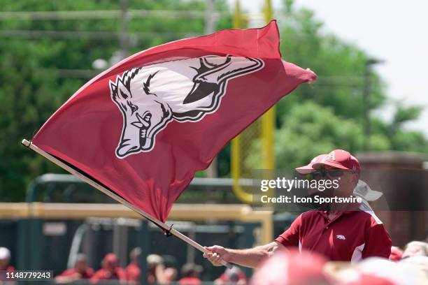 An Arkansas Razorbacks fan waves a flag during the NCAA Super Regional baseball game between the Arkansas Razorbacks and Ole Miss Rebels on June 8,...