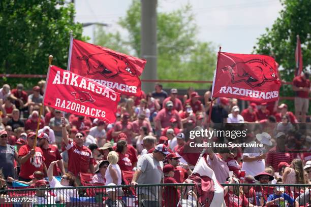 Flying Arkansas Razorback Baseball Super Regional Photos and Premium High Res Pictures - Getty Images