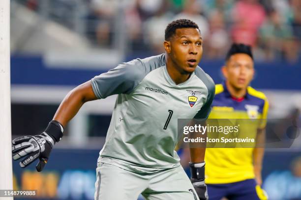 Ecuador goalkeeper Alexander Domínguez waits for a corner kick during the game on June 09, 2019 at AT&T Stadium in Arlington, Texas.