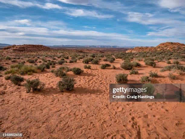 page, usa - april 17, 2019: view of arizona desert wilderness near the town of page - desert rock formation stock pictures, royalty-free photos & images