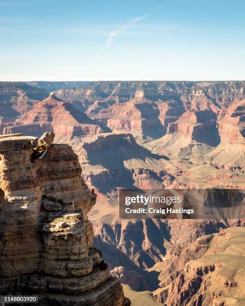 grand canyon, usa - april 15, 2019: view of the grand canyon from the grand canyon village south side - grand canyon village stock pictures, royalty-free photos & images