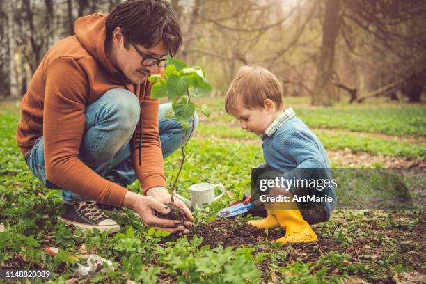 春のアーバーの日に家族の植栽ツリー - kid in a tree ストックフォトと画像