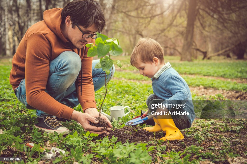 Family planting tree on Arbor day in springtime