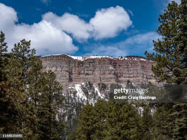 colorado, usa - april 19, 2019: magestic snowy colorado mountains and tree scenes from durango to silverton - ouray colorado bildbanksfoton och bilder