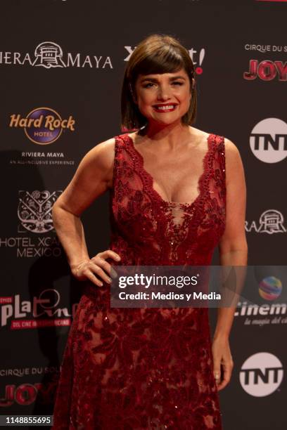 Araceli Gonzalez poses for photos during the red carpet of the Premios Platino 2019 on May 12, 2019 in Playa del Carmen, Mexico.