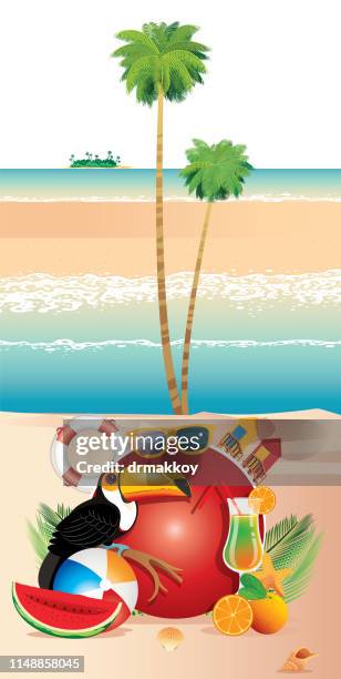palm beach - sand shells stock illustrations