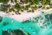 Aerial view of tropical beach. Saona island, Dominican republic