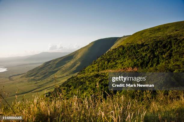 ngorongoro national park landscape - ngorongoro foto e immagini stock