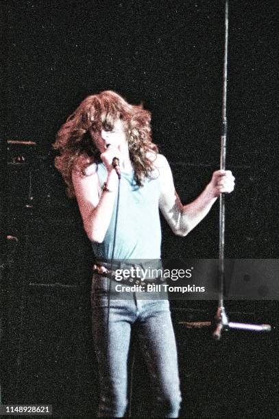 19,797 Dave King Photos & High Res Pictures - Getty Images