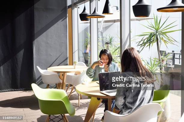 women working together in a coworking office - co working stock pictures, royalty-free photos & images