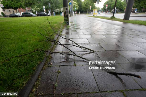 Branch fallen down during the storm. On 10.6.2019 it heaviliy rained in Munich.