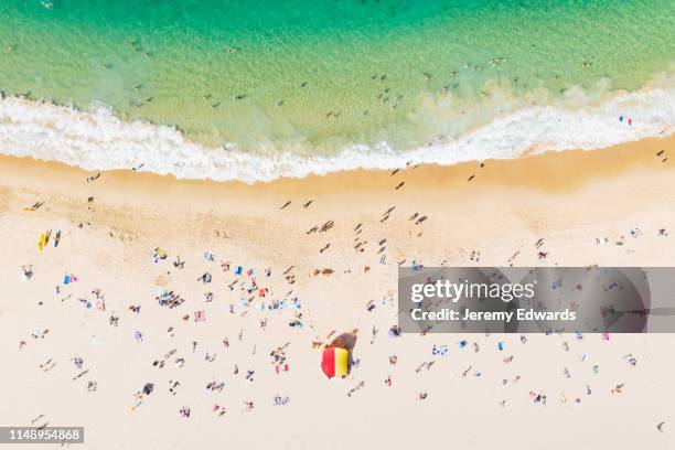 aerial view of coogee beach, nsw, australia - new south wales beach stock pictures, royalty-free photos & images
