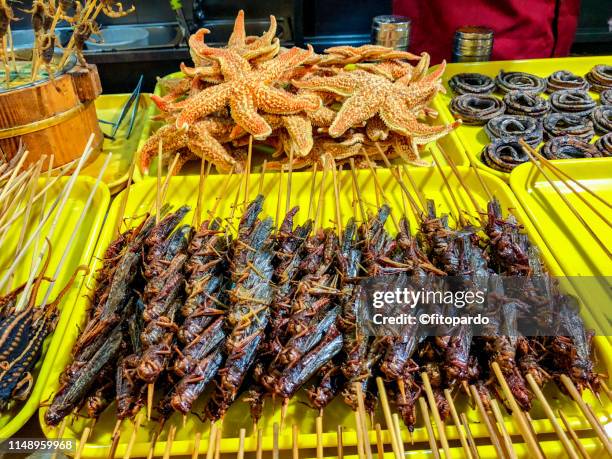 Beijing Insect Edible Bug Shop Photos and Premium High Res Pictures - Getty Images