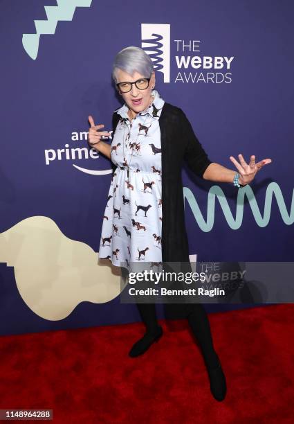 Actress Lisa Lampanelli attends the 2019 Webby Awards at Cipriani Wall Street on May 13, 2019 in New York City.