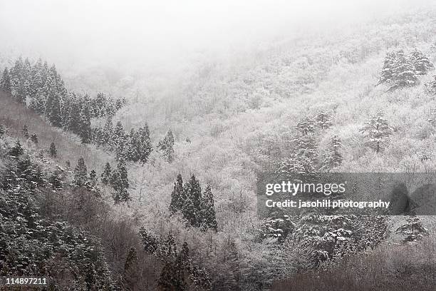 snowfall in hachimantai - prefectura de iwate fotografías e imágenes de stock