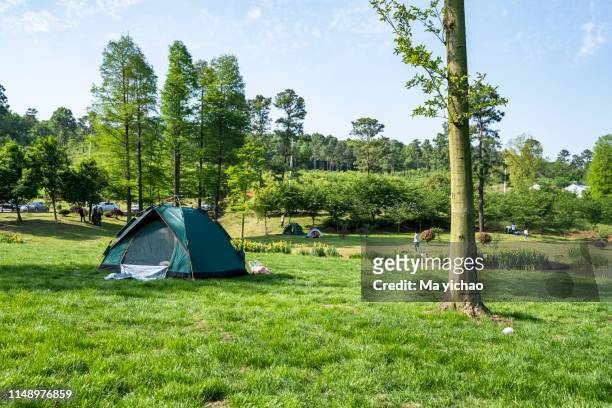 tents camping area - wilderness camping stock pictures, royalty-free photos & images