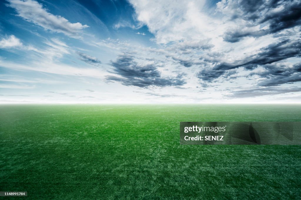 Grass background against sky