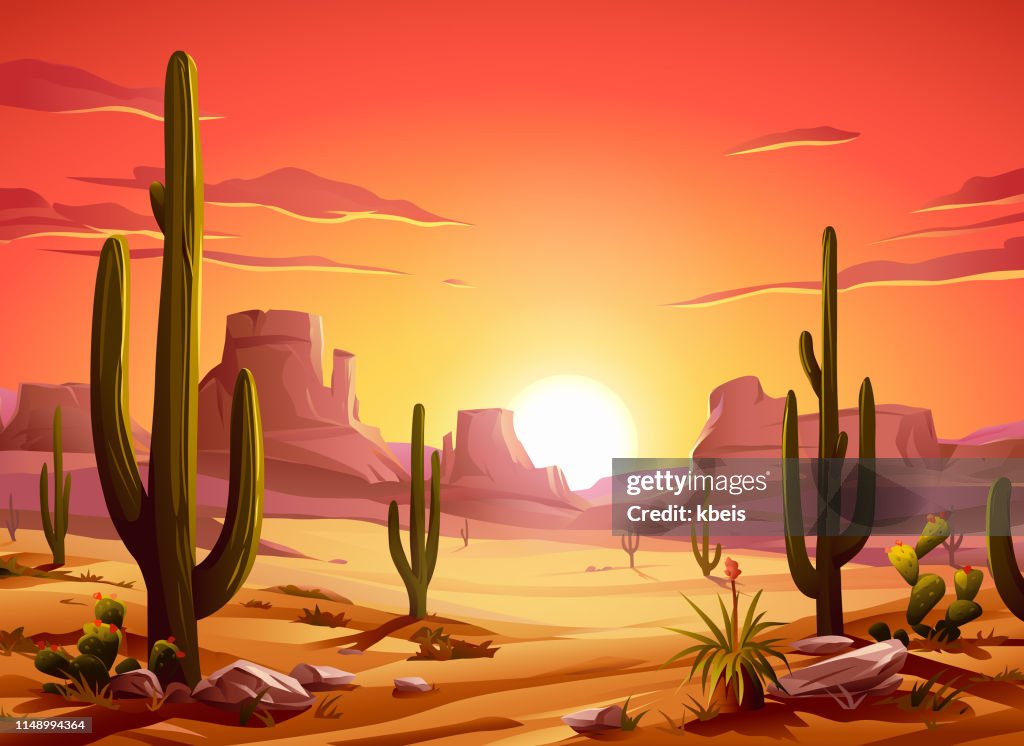 Fiery Desert Sunset