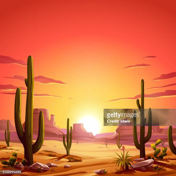 sonnenuntergang in der wüste - sukkulente stock-grafiken, -clipart, -cartoons und -symbole