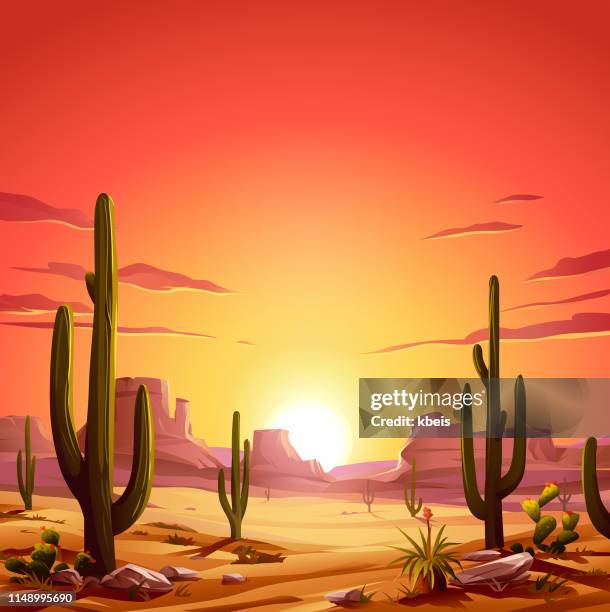 illustrazioni stock, clip art, cartoni animati e icone di tendenza di tramonto nel deserto - piante grasse