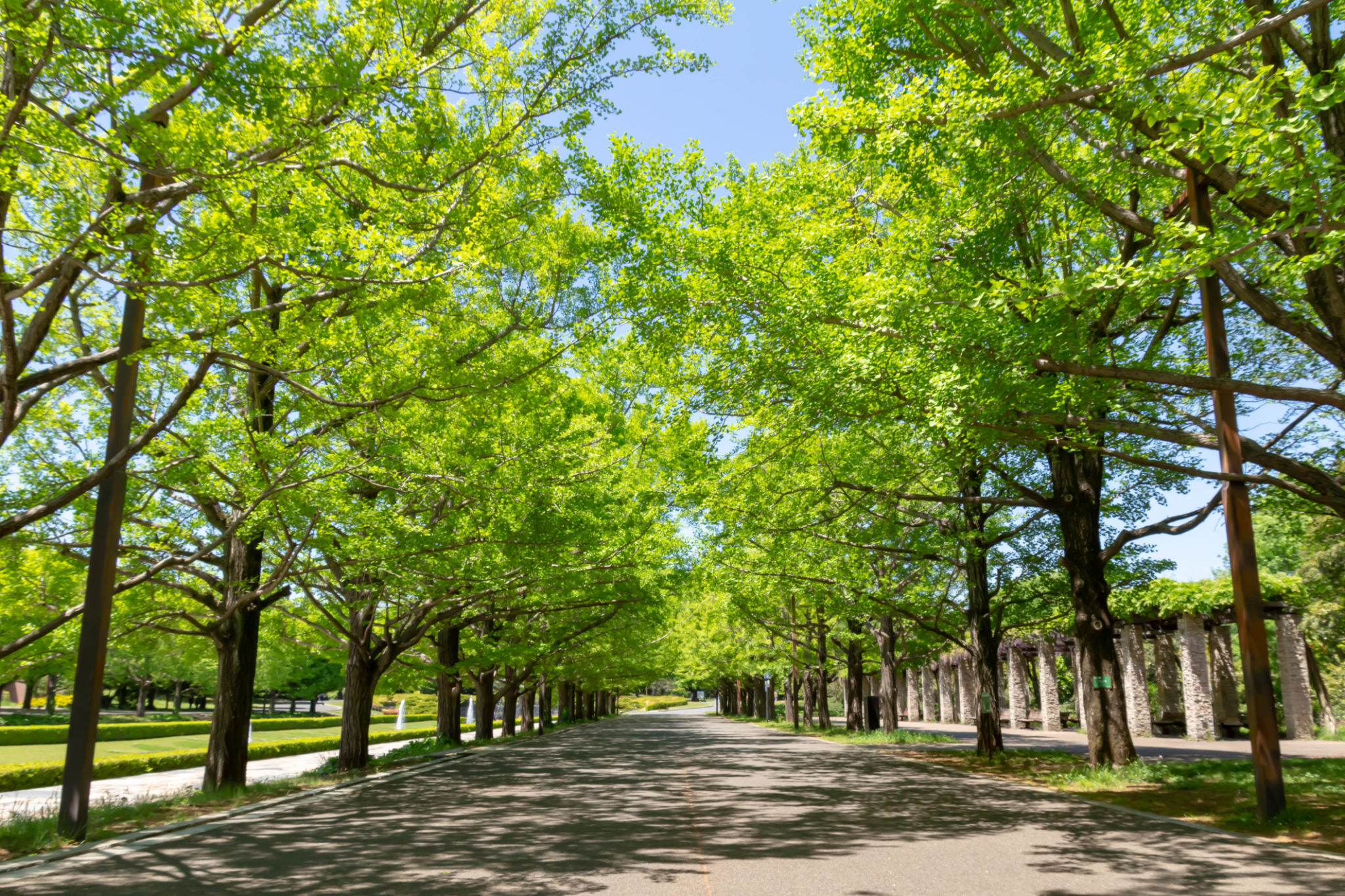 tokyo park