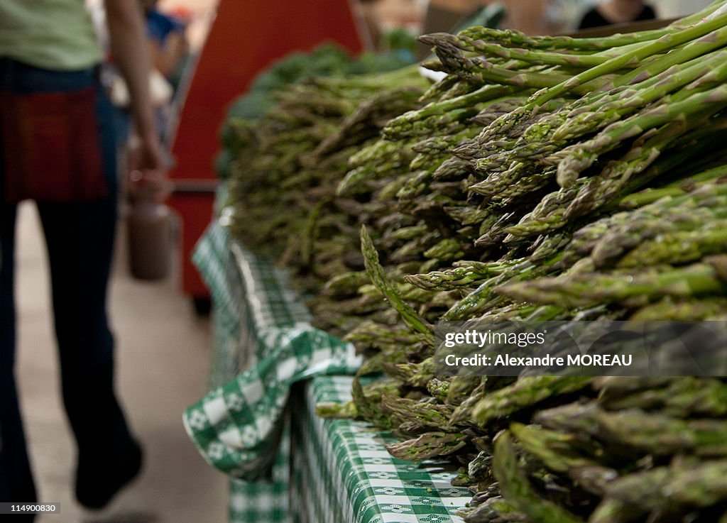 Bunch of fresh green asparagus in american market