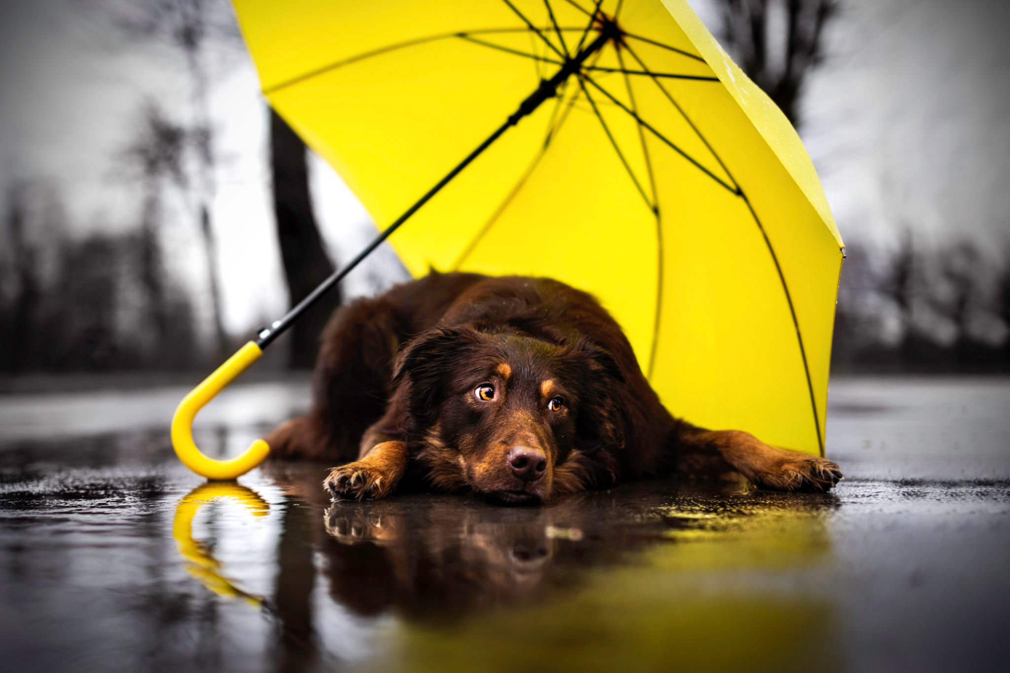 rainy day photoshoot