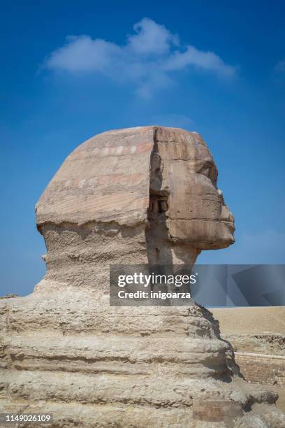 close-up of the great sphinx, giza near cairo, egypt - limestone pyramids stock pictures, royalty-free photos & images