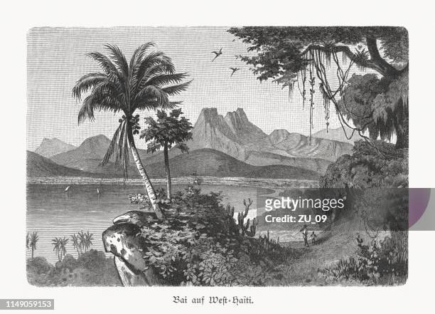 a bay of west-haiti, wood engraving, published in 1897 - caribbean stock illustrations