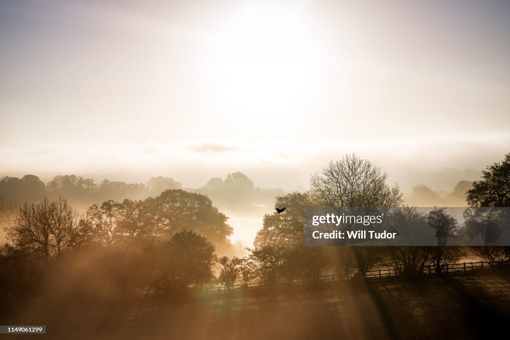 Morning Mist in Warwickshire