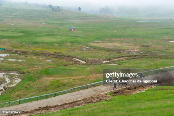 villagers in jammu gulmarg kashmir are taking horses to walk to get tourists. - baramulla district stockfoto's en -beelden