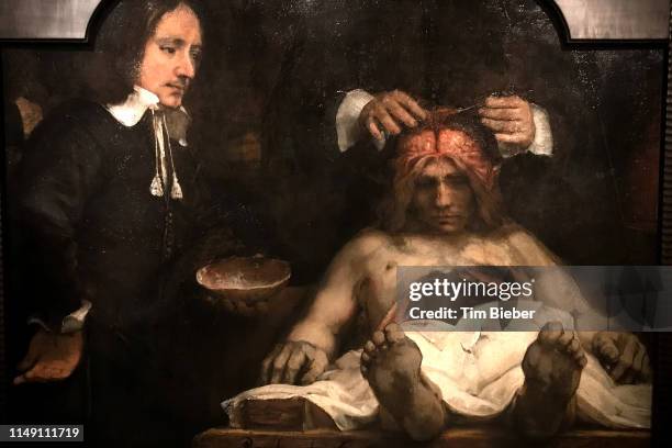 old master rembrandt painting, the anatomy lesson of dr. nicolaes tulp - rembrandt stockfoto's en -beelden