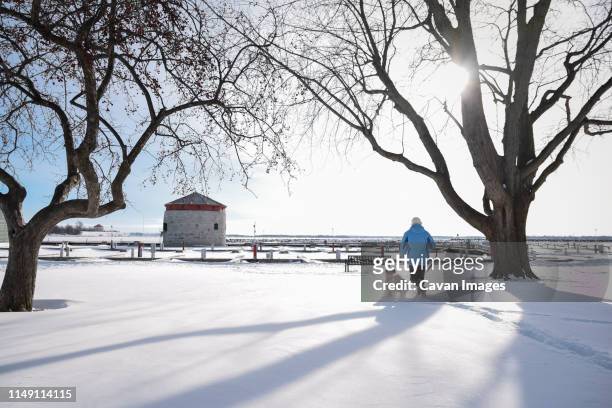 woman walking dog near tower and docks on waterfront on a snowy day. - lake ontario stock pictures, royalty-free photos & images