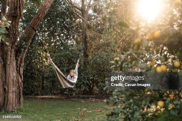 adolescent girl reading a book in hammock near lemon tree - teenager dream work bildbanksfoton och bilder