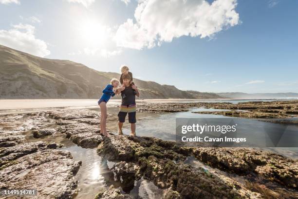 father showing a sea animal to two children at tidal pools - marisma fotografías e imágenes de stock